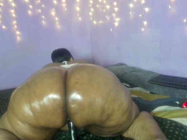 Big-Ass-Wilma webcam