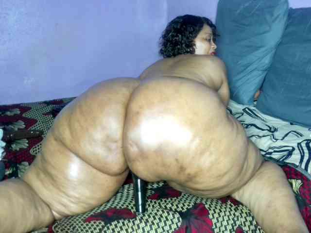 Big-Ass-Wilma webcam