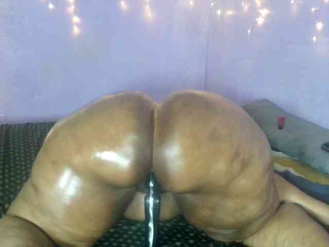 Big-Ass-Wilma webcam