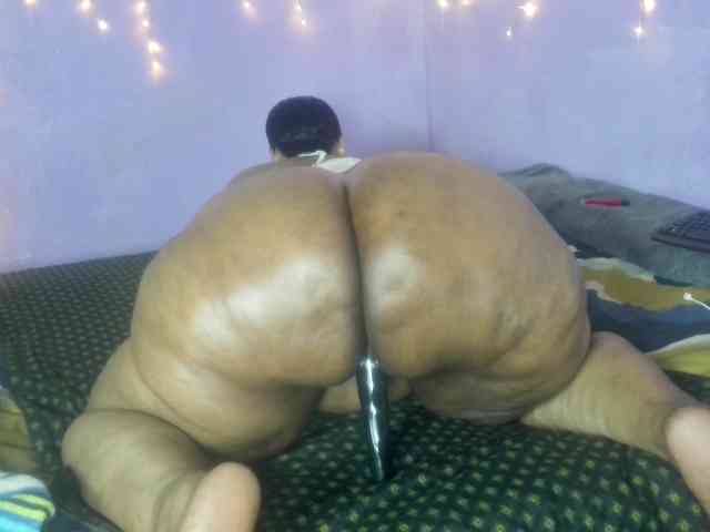 Big-Ass-Wilma webcam