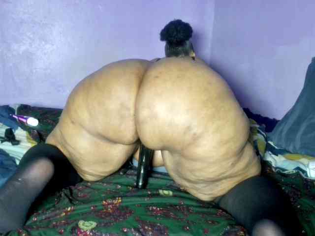 Big-Ass-Wilma webcam