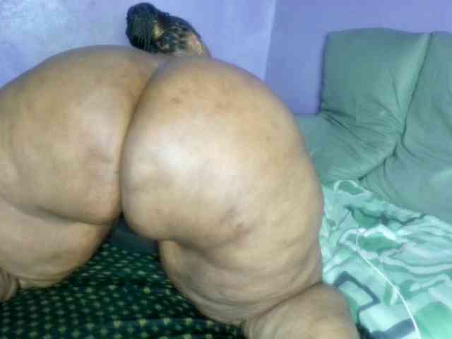 Big-Ass-Wilma webcam