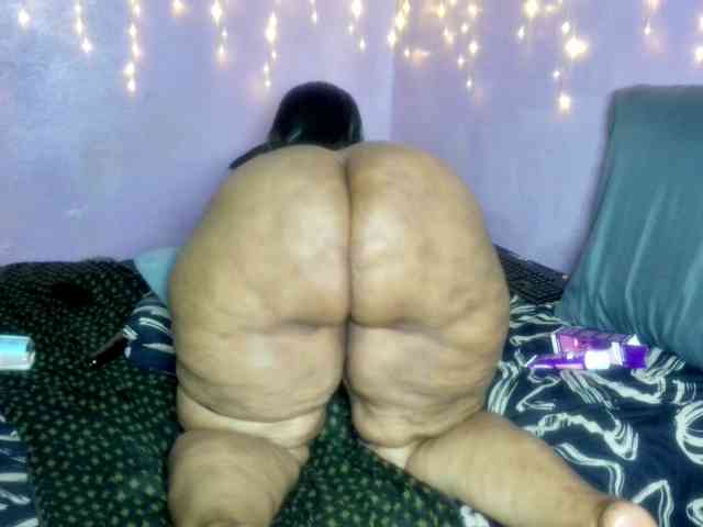 Big-Ass-Wilma webcam