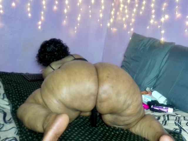 Big-Ass-Wilma webcam