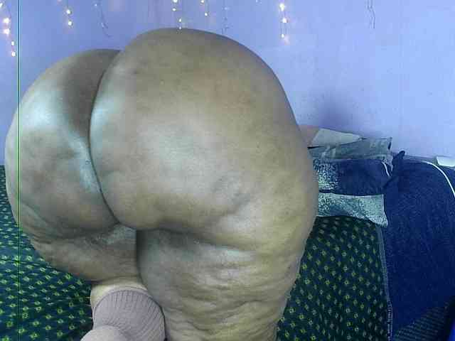 Big-Ass-Wilma webcam