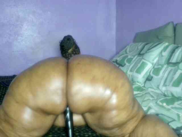 Big-Ass-Wilma webcam