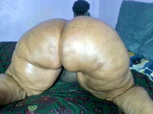 Big-Ass-Wilma webcam