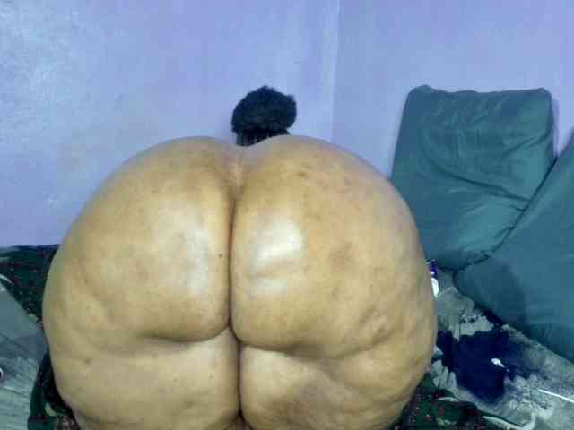 Big-Ass-Wilma webcam