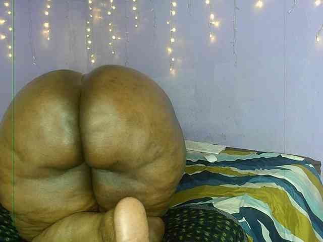 Big-Ass-Wilma webcam