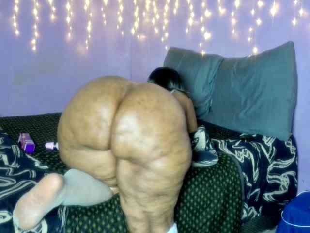 Big-Ass-Wilma webcam