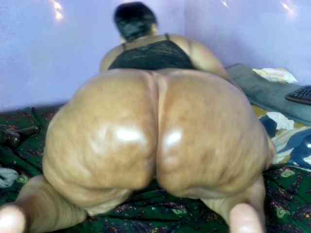 Big-Ass-Wilma webcam