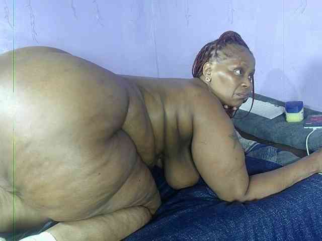 Big-Ass-Wilma webcam