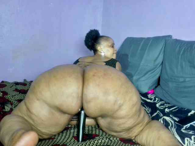 Big-Ass-Wilma webcam