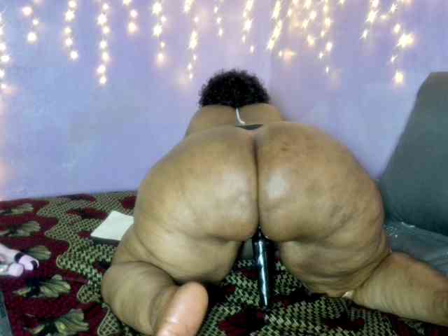 Big-Ass-Wilma webcam