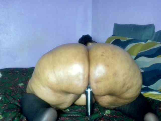 Big-Ass-Wilma webcam