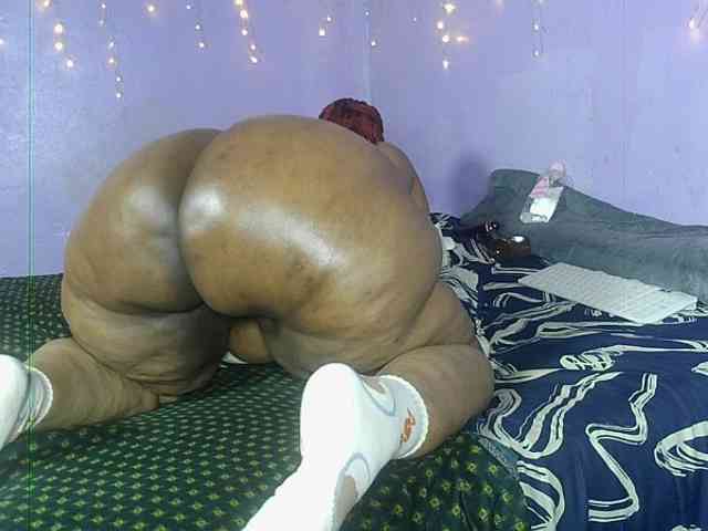 Big-Ass-Wilma webcam