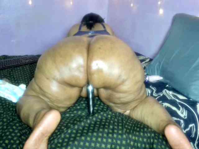 Big-Ass-Wilma webcam