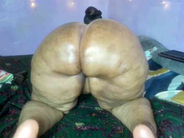 Big-Ass-Wilma webcam