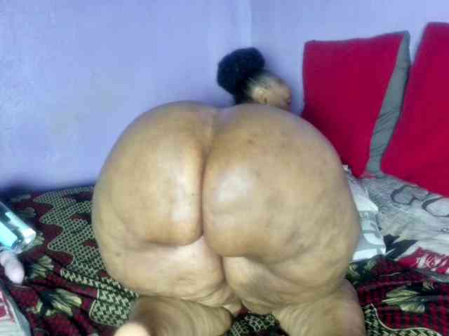 Big-Ass-Wilma webcam