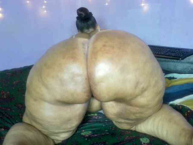 Big-Ass-Wilma Big-Ass-Wilma