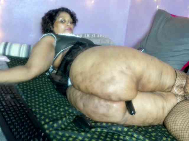 Big-Ass-Wilma webcam