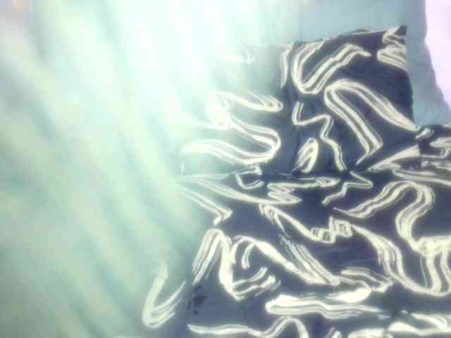 Big-Ass-Wilma webcam