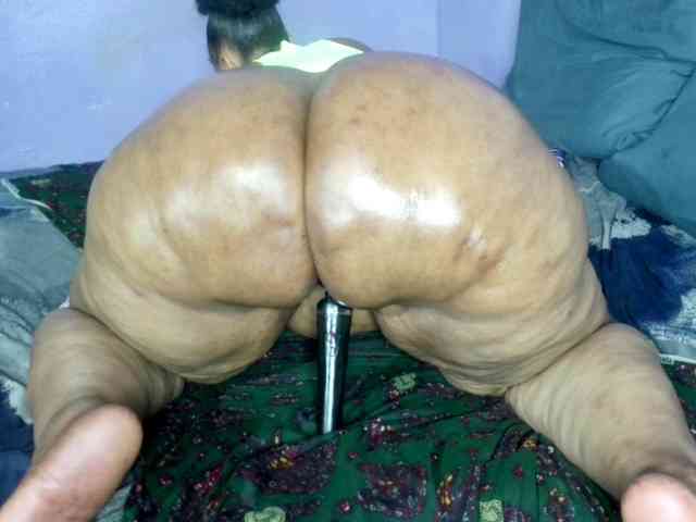 Big-Ass-Wilma webcam