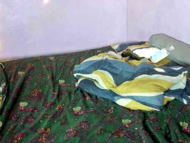 Big-Ass-Wilma webcam