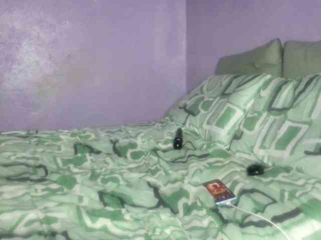 Big-Ass-Wilma webcam