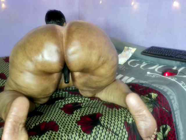 Big-Ass-Wilma webcam