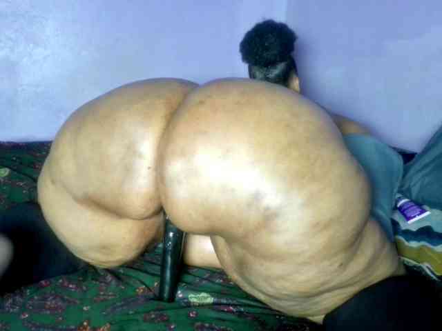 Big-Ass-Wilma webcam