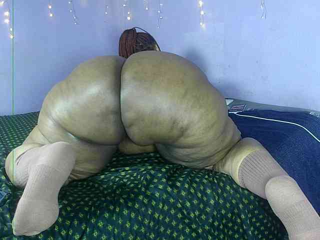 Big-Ass-Wilma webcam