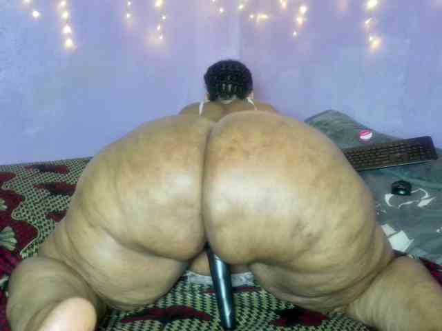 Big-Ass-Wilma webcam