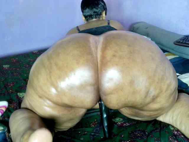 Big-Ass-Wilma webcam