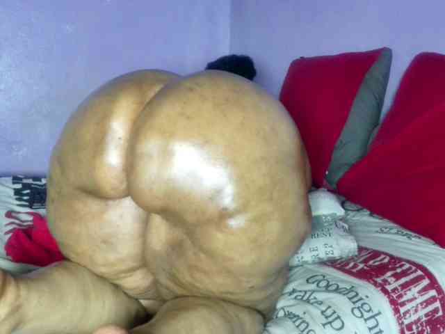 Big-Ass-Wilma webcam