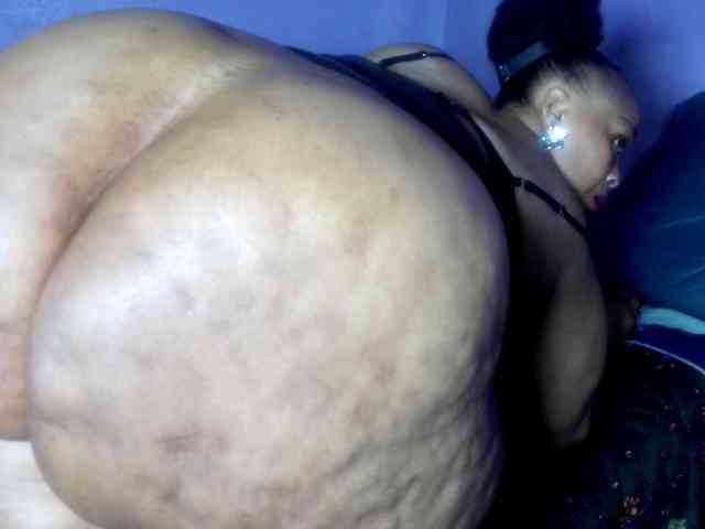 Big-Ass-Wilma webcam