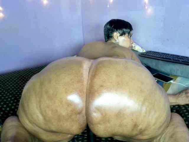 Big-Ass-Wilma webcam