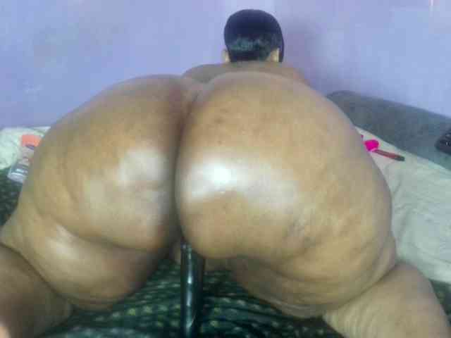 Big-Ass-Wilma webcam