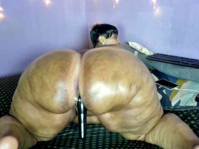 Big-Ass-Wilma webcam