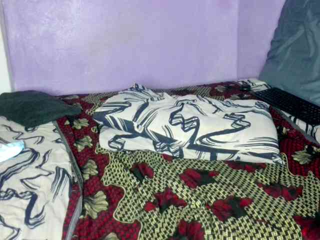 Big-Ass-Wilma webcam