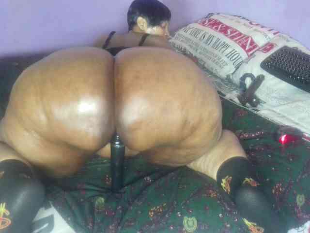 Big-Ass-Wilma webcam