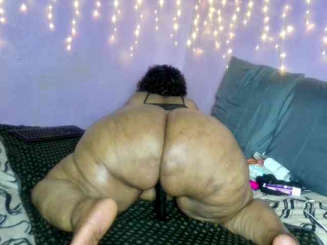 Big-Ass-Wilma webcam