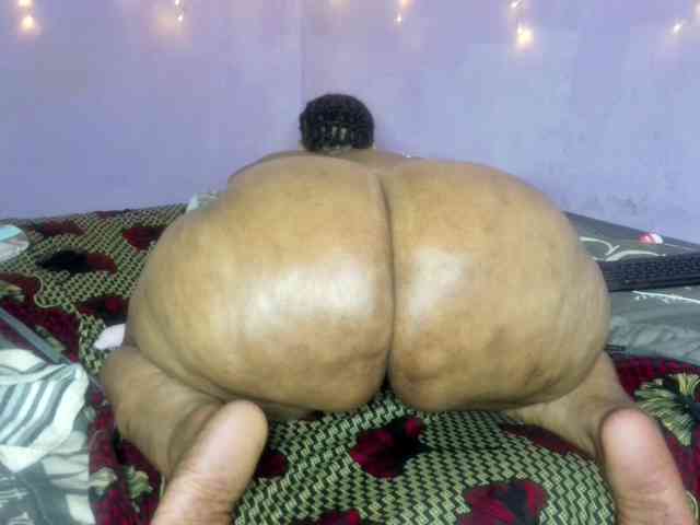 Big-Ass-Wilma webcam