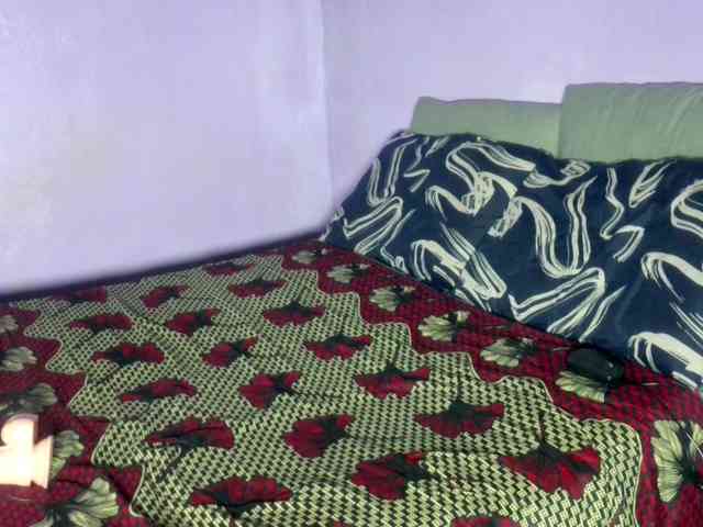 Big-Ass-Wilma webcam