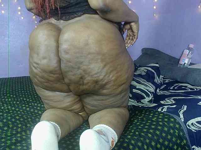 Big-Ass-Wilma webcam