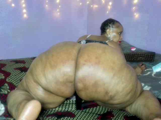 Big-Ass-Wilma webcam