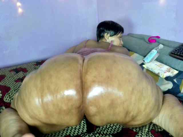 Big-Ass-Wilma webcam