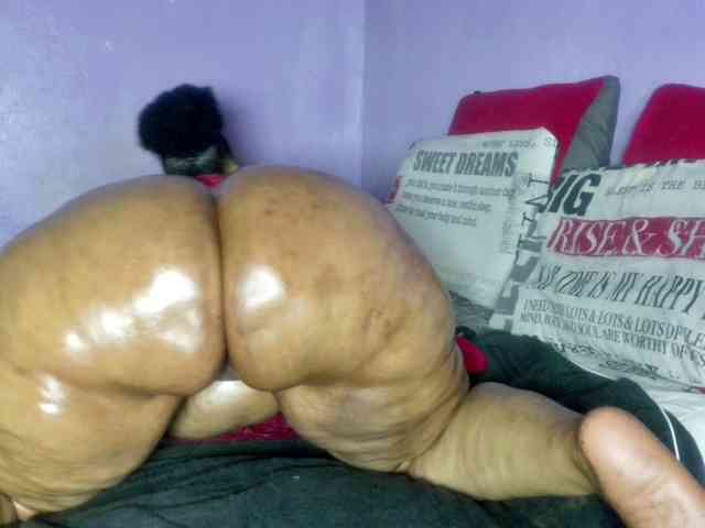 Big-Ass-Wilma webcam