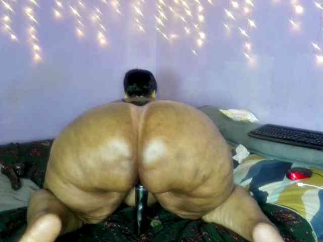 Big-Ass-Wilma webcam