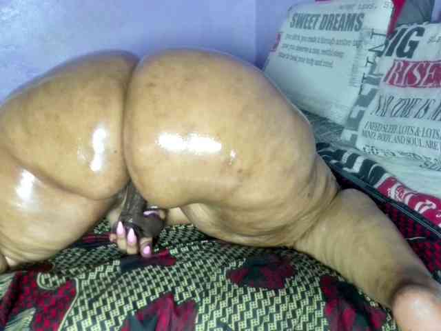 Big-Ass-Wilma webcam